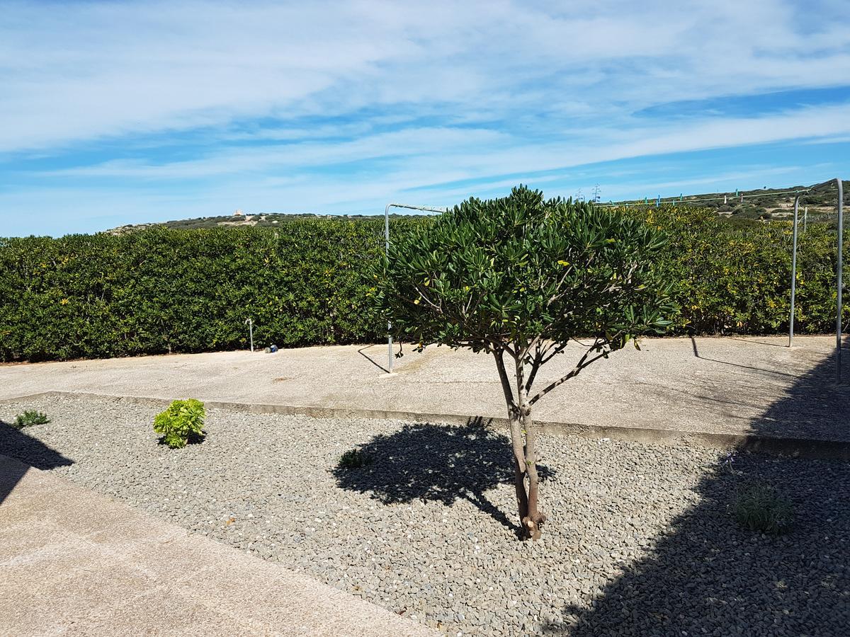 Villa Maria Cala'N Blanes  Eksteriør bilde